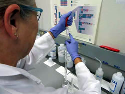 Roberta Petitt, water quality supervisor, runs a sample at the Water Quality Lab.